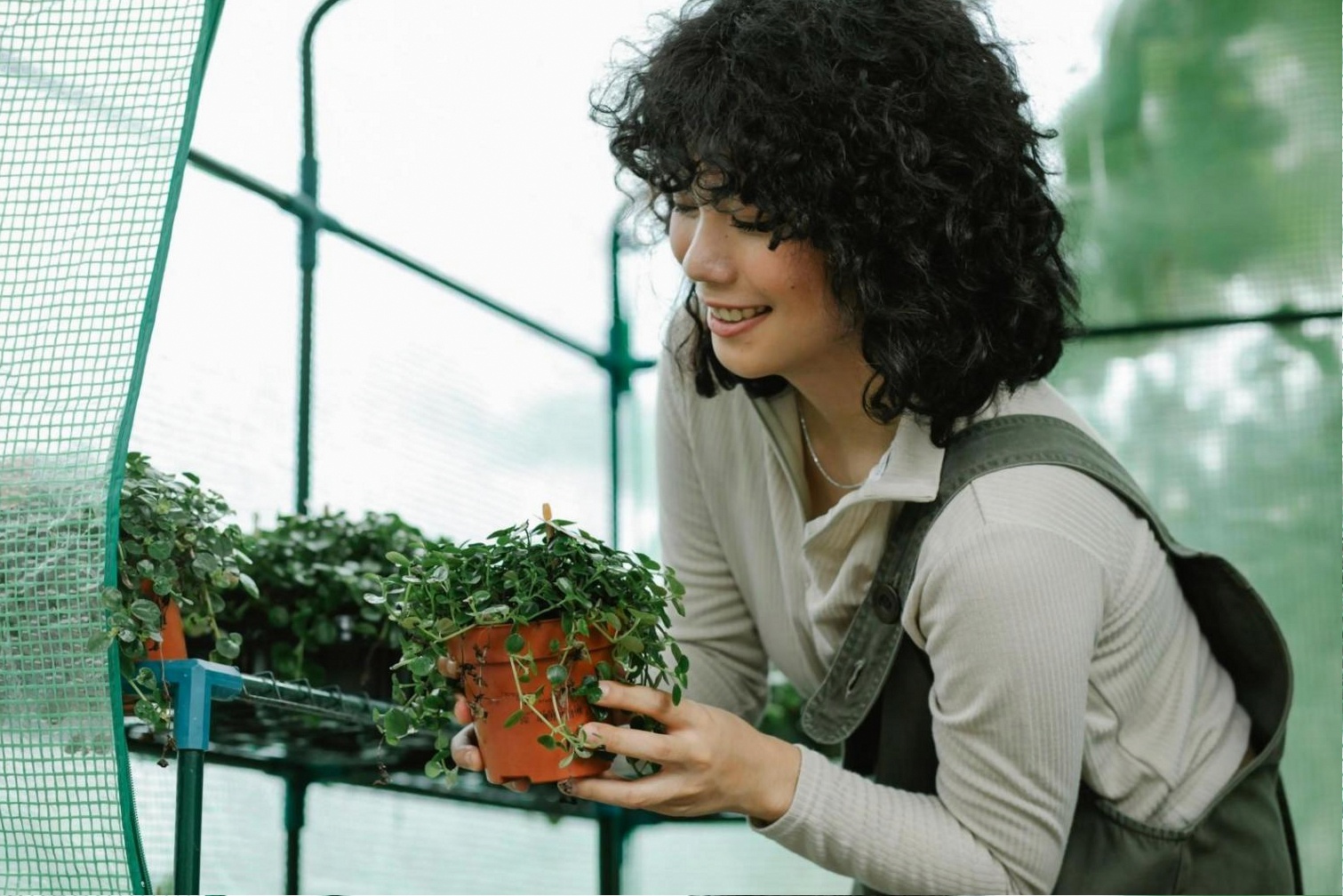 Florales Arrangement aus Trockenblumen und frischen Zweigen in einem strukturierten Gefäß